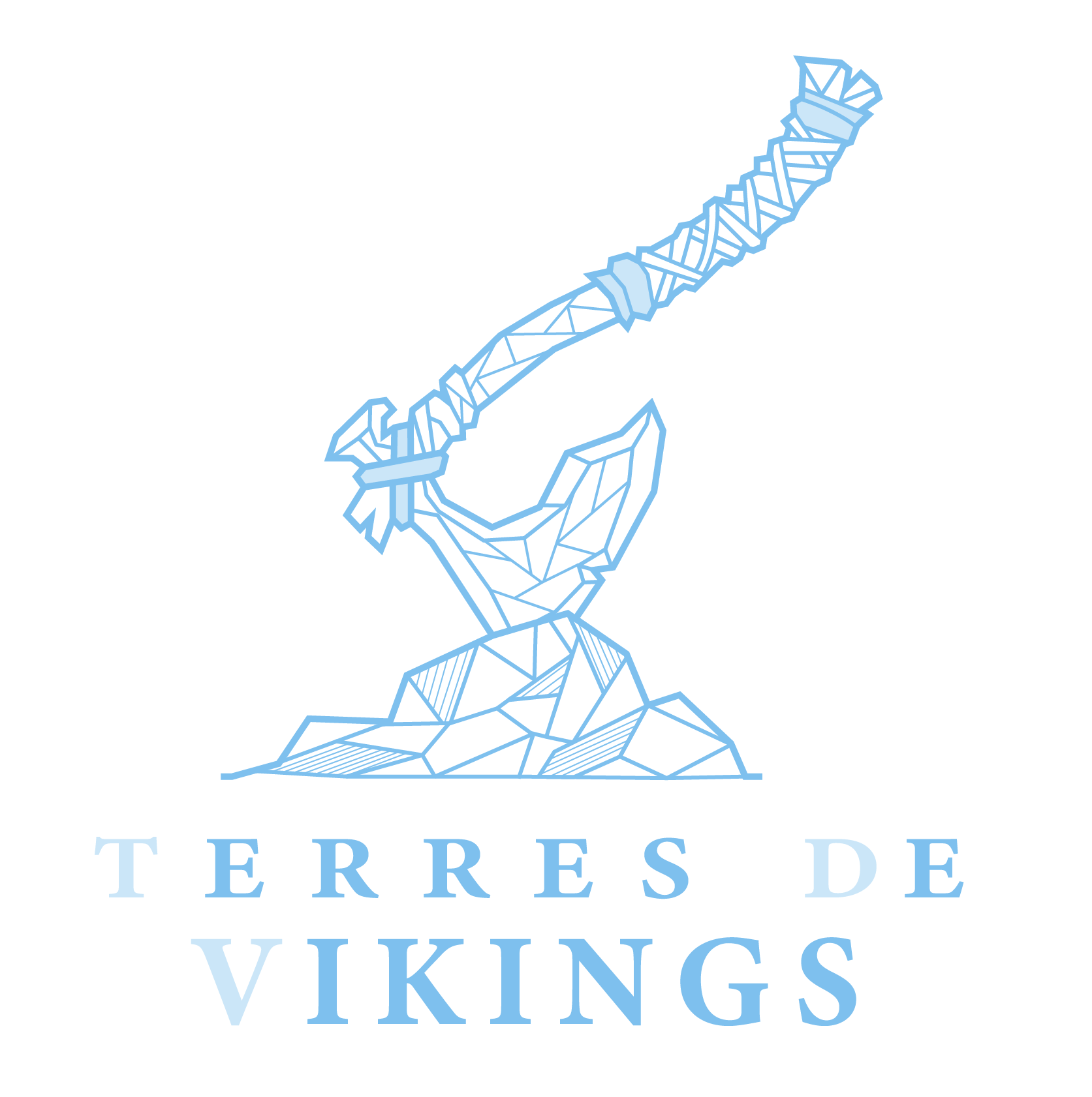 logo terres de vikings carré transparent