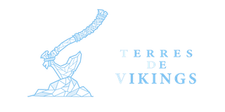 logo terres de vikings rectangle transparent